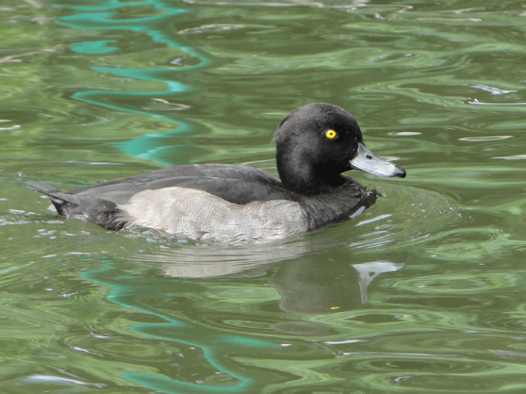 Colour of the week is... yellow