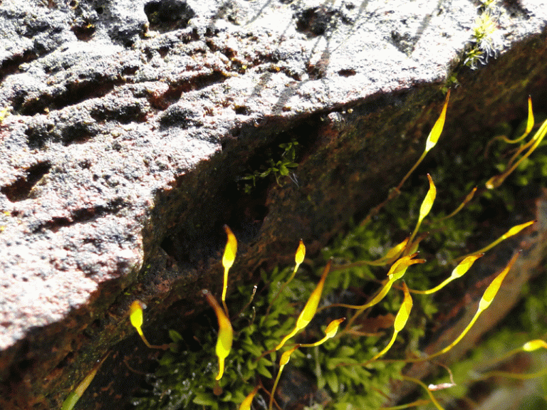 A glimpse of sunshine